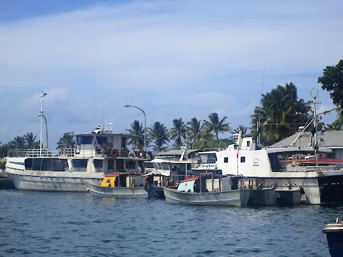 Double-hulled fishing boats in the harbour near the fish market, in Apia, Samoa.