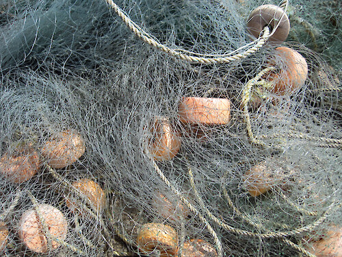 A close-up look at a fishing net. This style of net is used by Mexican fishermen in open boat, called a panga, with an outboard motor.