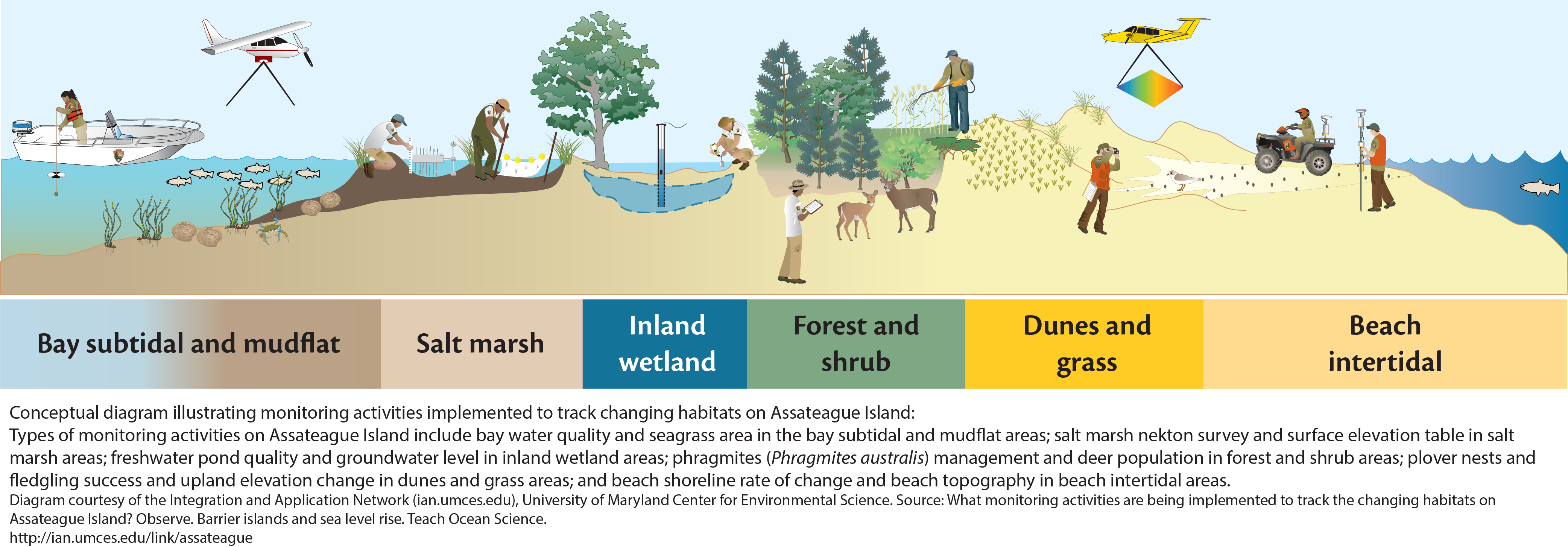 Monitoring Activities to Track Changing Habitats on Barrier Island