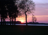 Sunset through trees over Choptank River in Maryland 