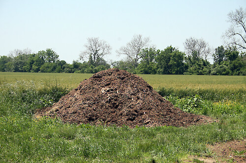 Horse manure is composted on an Eastern Shore of Maryland farm.