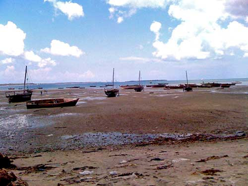 Dhows low tide