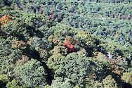 View of forest changing into fall colors in Shenandoah National Park, Virginia.