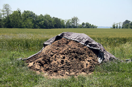 Horse manure compost pile in Maryland.