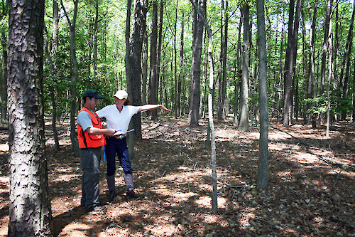Chesapeake Watershed Forester and landowner agree on best management practice strategies, on the Eastern Shore of Maryland.