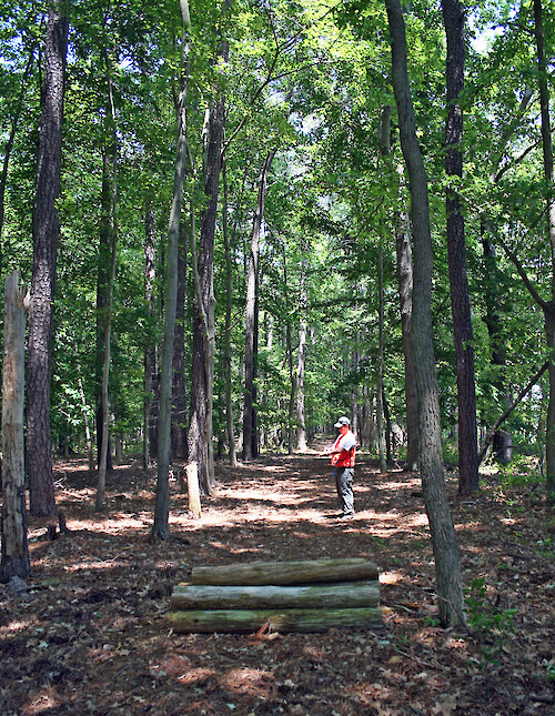 Horse trails and jump as part of recreational use of the forest, in Maryland.