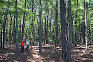 Chesapeake Watershed Forester and landowner amid a healthy mixed forest, on the Eastern Shore of Maryland.