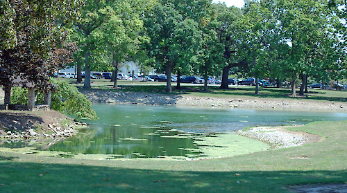 An overabundance of algae occurs in ponded areas of Pipe Creek, where animal waste from geese washes into the creek. Increased nutrients from the waste causes algae to grow and bloom. Sandusky, Ohio.