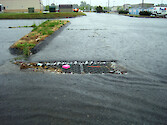 Stormwater trash in parking lot, in Maryland.