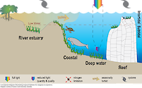 Conceptual diagram illustrating tropical habitats for seagrass ecosystems.
