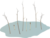 Illustration of a ghost forest, which can be caused by sea-level rise, land subsidence, or both. As land subsides along the coast, trees can drown in saturated soils, creating ghost forests. Salt-water intrusion into groundwater can also cause salt-intolerant trees to die.