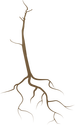 Illustration of a dead tree with exposed roots.