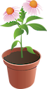 Illustration of a flower pot, or seedlings.