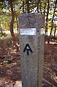 Trail markers like this designate the Appalachian trail which makes up some of the trails in Shenandoah National Park. Shenandoah National Park, VA.