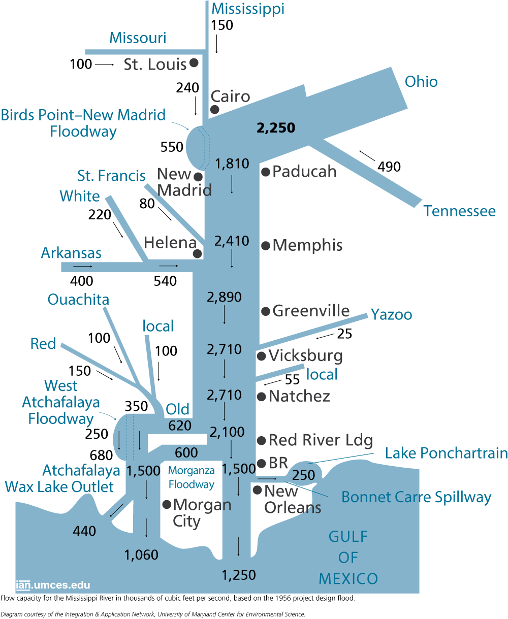 Flow Capacity for the Mississippi River Media Library Integration