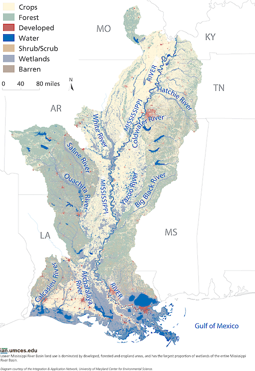 Lower Mississippi land use is dominated by developed, forested and cropland areas, and has the largest proportion of wetlands of the entire Mississippi River Basin.