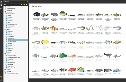 PDF catalog screenshot
