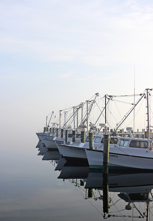 Boats floating in community dock in Neavitt, Maryland.