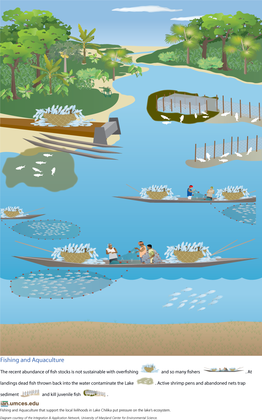 Aquaculture Ecosystem