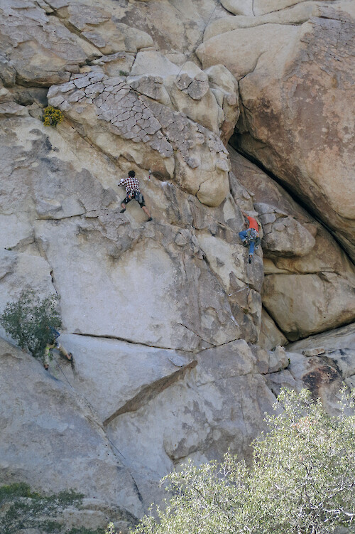 Climbers in Joshua Tree National Park.
