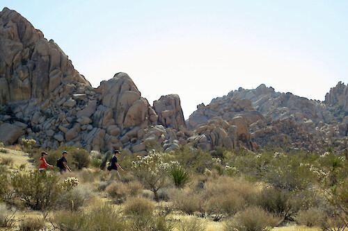 Hikers in Joshua Tree National Park.