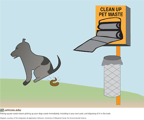 An image illustrates the importance of cleaning up after pets, and of having pet cleanup materials available to the public. 