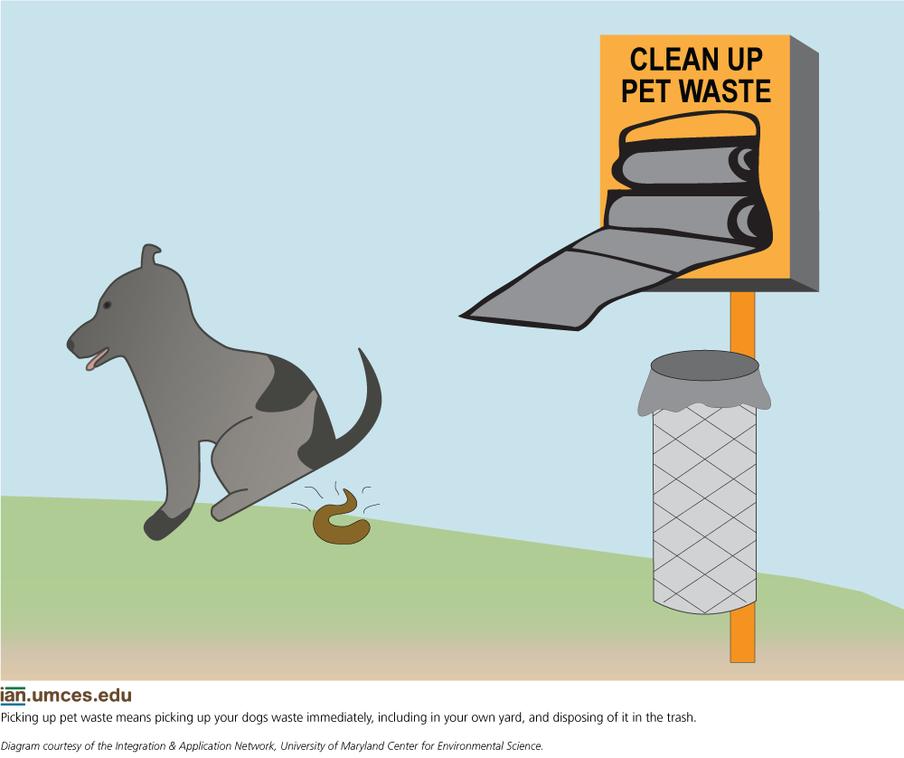 Cleaning Up Pet Waste as a Key Watershed Stewardship Behavior Media