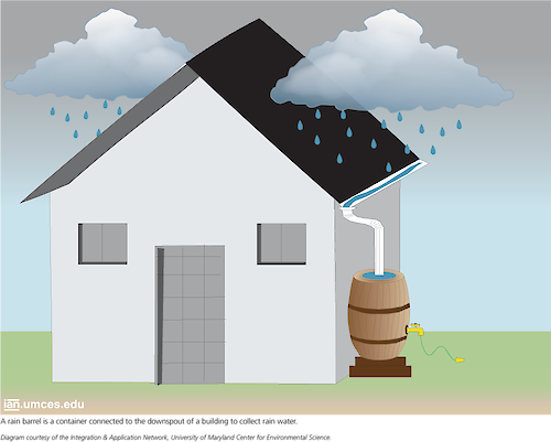An image depicts a rain barrel attached to the downspout on the side of a house. These barrels collect rain to be reused at a later time.  