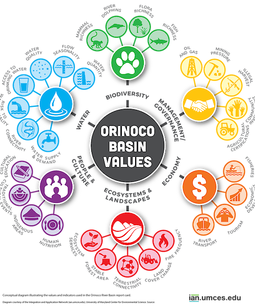 This diagram shows the values and indicators used in the Orinoco River Basin report card.