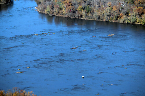 Conowingo Dam is the last Dam on the Susquehanna River before it empties into the Upper Chesapeake Bay. This is a series of photos taken on an overflight of the Dam and surrounding sites during mid-November, 2015. This photo is of some rocks in the very low flow Susquehanna down river from Conowingo Dam. 
