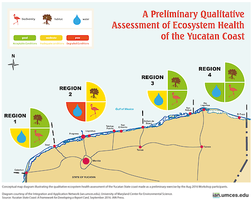 At an Aug 2016 report card workshop in Sisal Mexico, scientists and representatives from the local government and private sector assembled to begin the process of developing an ecosystem health assessment of the Yucatan State coastline. This map diagram reflects the three possible ecosystem health indicators (biodiversity, habitat, and water) chosen by workshop participants and their preliminary qualitative assessment of the condition of those indicators.