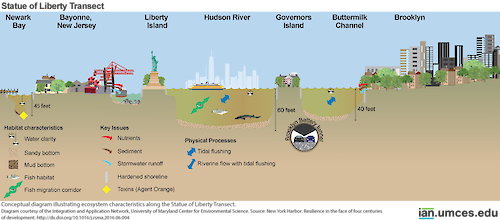 Conceptual diagram illustrating ecosystem characteristics along the Statue of Liberty Transect. Source: New York Harbor: Resilience in the face of four centuries of development. http://dx.doi.org/10.1016/j.rsma.2016.06.004