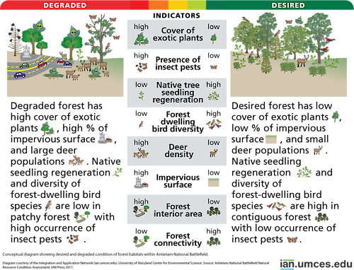 Diagram illustrating desired and degraded condition of forests within Antietam National Battlefield.