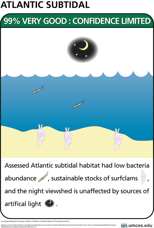 Conceptual diagram showing condition of Atlantic subtidal habitats of Assateague Island.