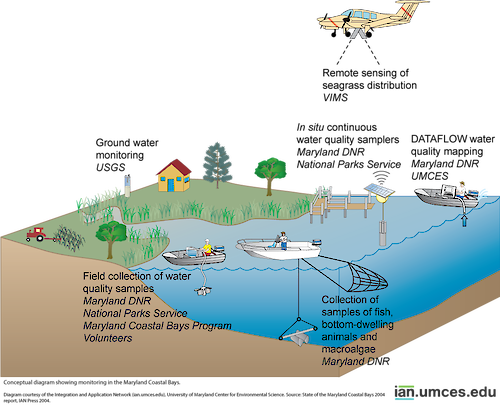 Diagram showing ecosystem monitoring activities in the Coastal Bays.