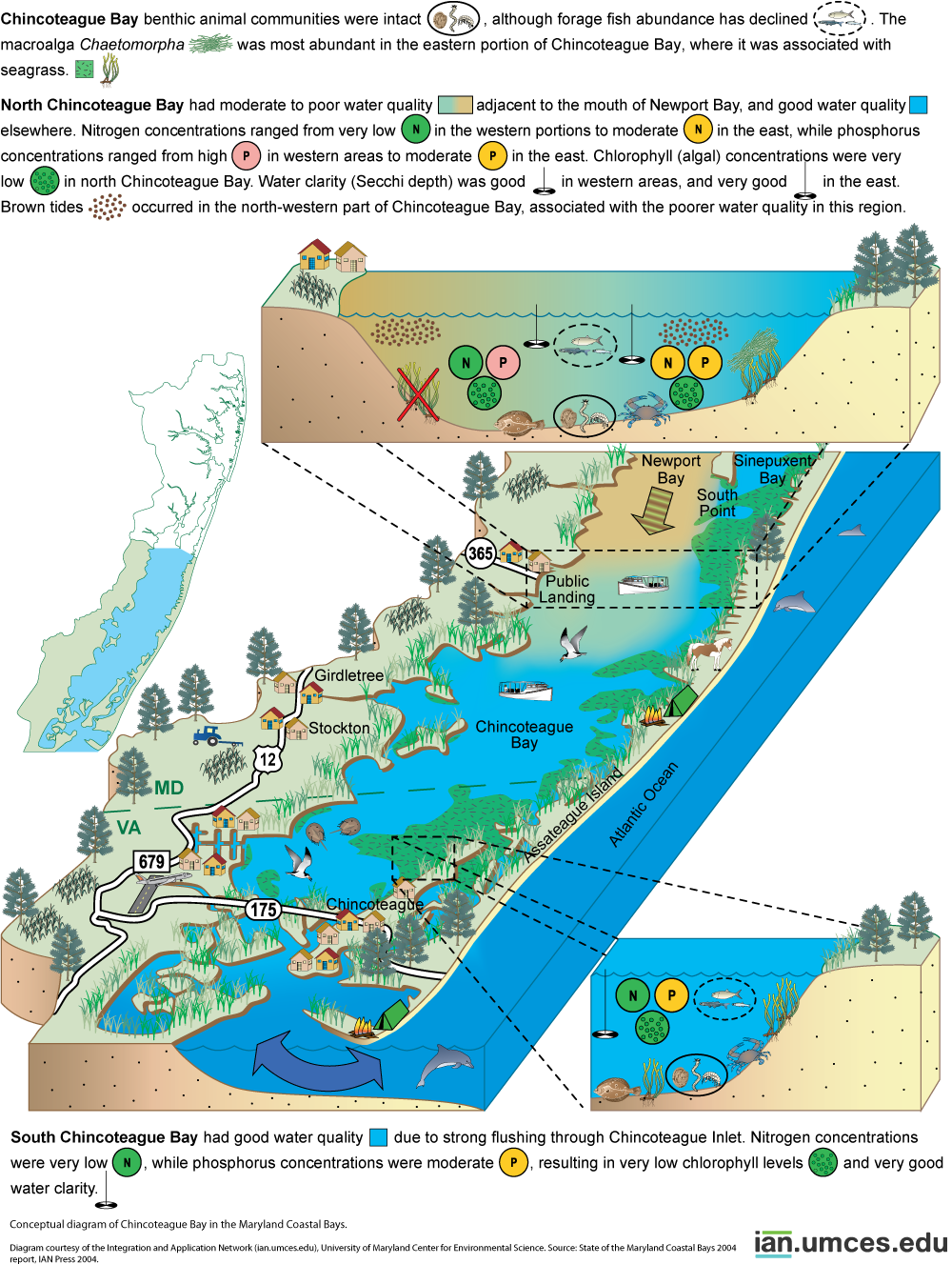 Diagram of Chincoteague Bay Media Library Integration and