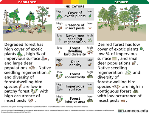 Diagram showing desired and degraded condition of forests within Monocacy National Battlefield.