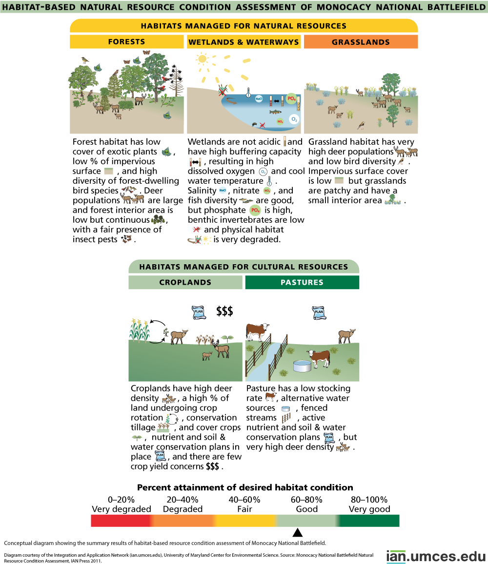 diagram-showing-summary-results-of-habitat-based-resource-condition