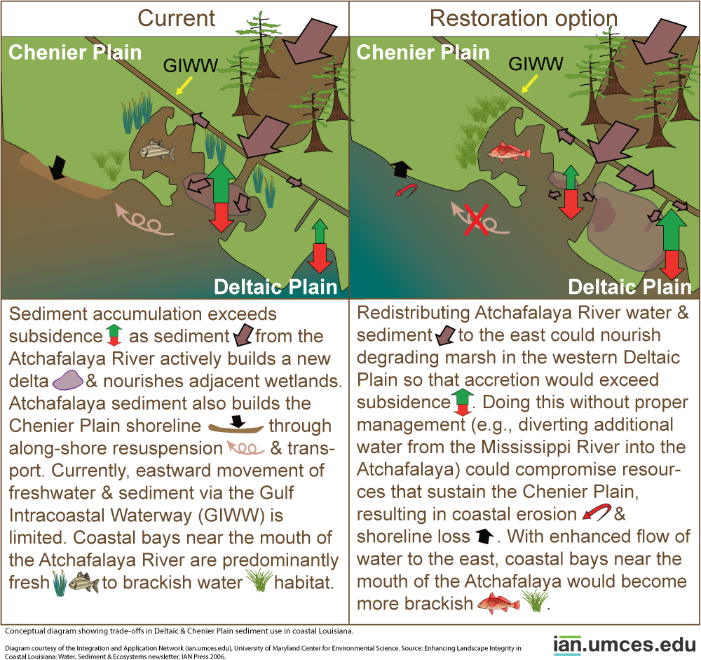 Left to Louisiana's Tides, a Village Fights for Time - The New York Times, image size:1000x941