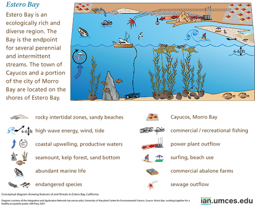 Diagram showing features of and threats to Estero Bay, California.
