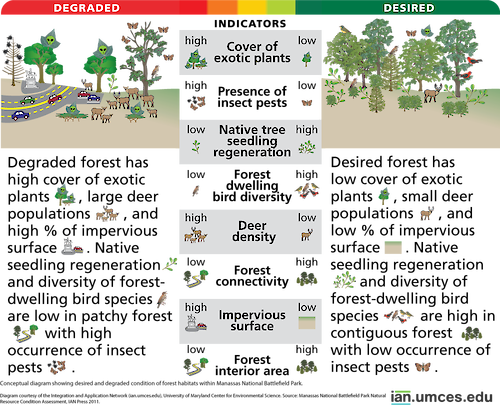 Diagram showing desired and degraded condition of forest habitats within Manassas National Battlefield Park.