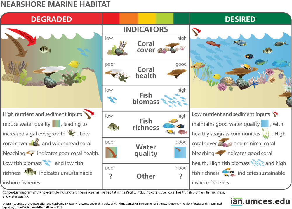 Diagram showing example indicators for nearshore marine habitat in the