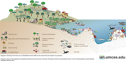 Diagram showing how land use on Babeldaob Island affects the terrestrial and aquatic ecosystems.