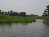 Little Creek, a tributary to Monie Bay National Estuarine Research Reserve System surrounded by marsh and forest