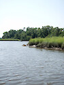 twists and turns through forest and salt marsh within the National Estuarine Research Reserve