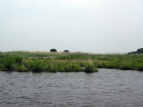 High tide in Little Creek (a tributary of Monie Bay) within the National Estuarine Research Reserve