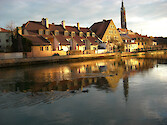 Ducks swim along the River Isar through the town of Landshut