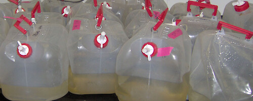 Cubitainers filled with water samples for nutrient and plankton analysis