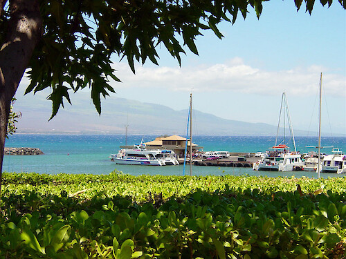 Both sailboats and motorboats are found in Maui's harbour 