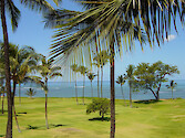 While palm trees still abound in this manicured area of Kaanapali (on Maui), little undergrowth can be seen on the lawns right next to the ocean. 
